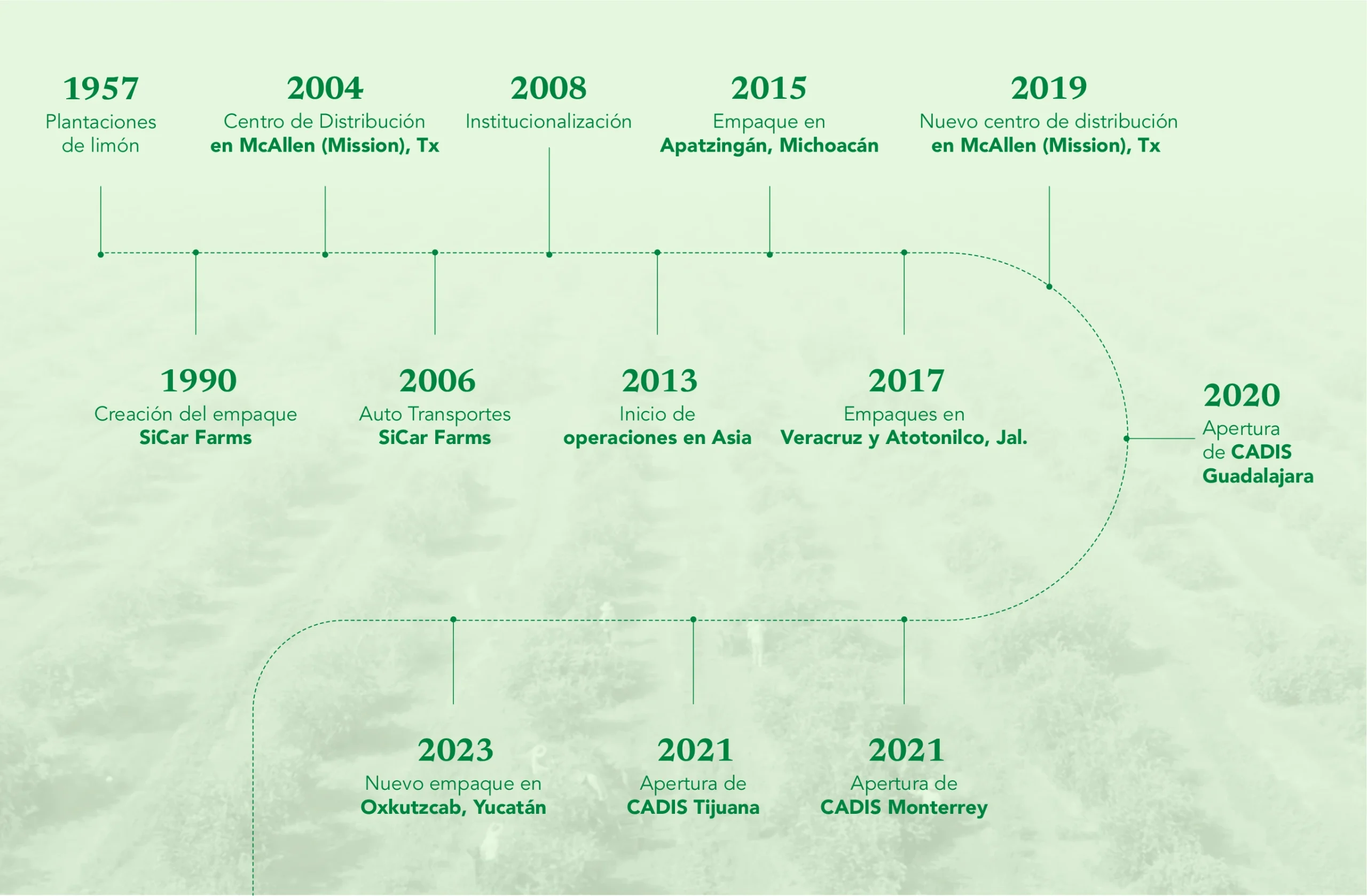 Línea del tiempo SiCar Farms — desde 1957 plantaciones de limón, 1990 creación del empaque SiCar Farms, hasta 2023 nuevo empaque en Oxkutzcab, Yucatán